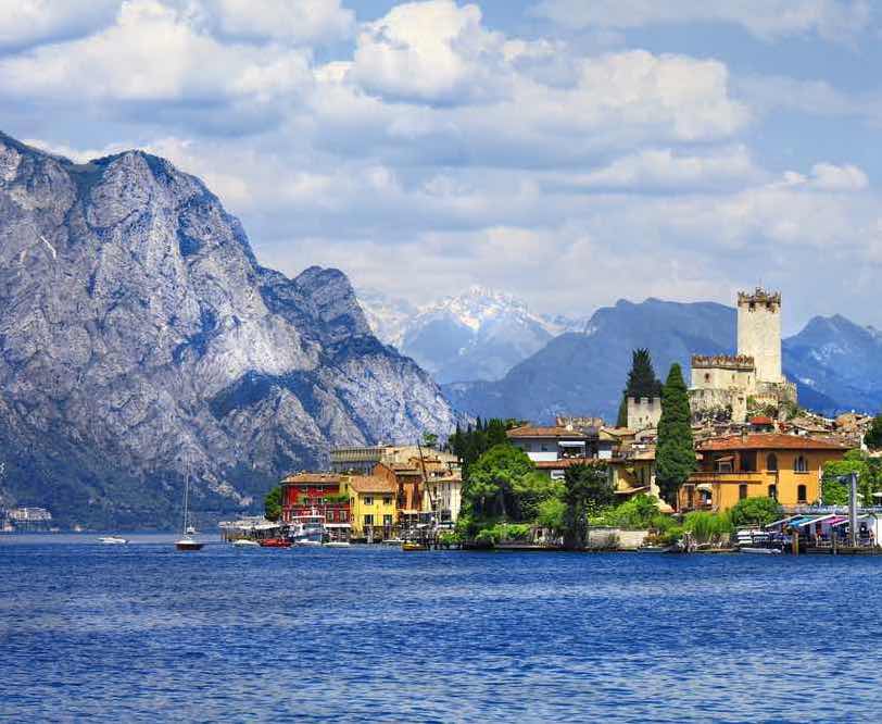 The 7th Whippet World Congress